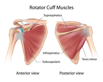Rotator Cuff Injury Treatment NYC